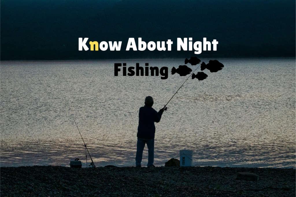 A Post About Night Fishing