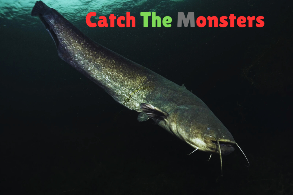 How to Catch Catfish or The River Monster