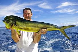Hunt arrow sea fishing image 2