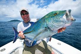 huntarrow Sea Fishing Image 1