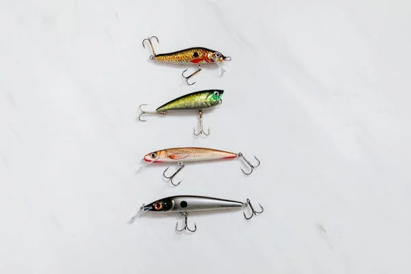 some best lures for fishing in every situation 