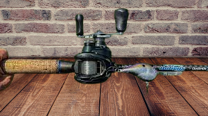 Dobyns Champion fishing rod review