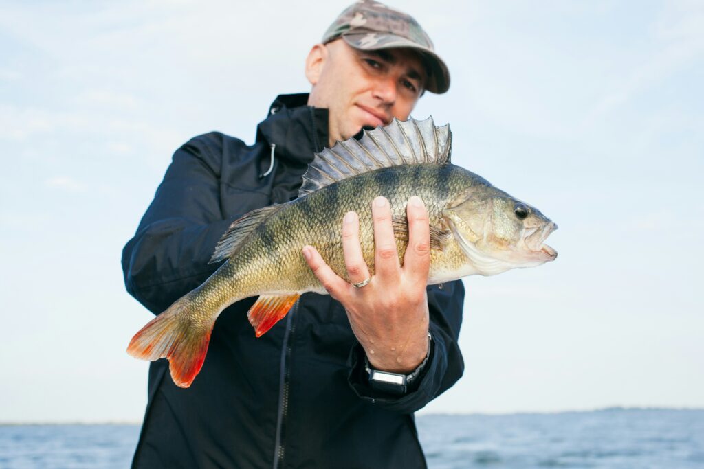 catching bass with heavy spinnerbait