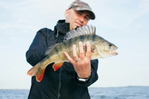 catching bass with heavy spinnerbait